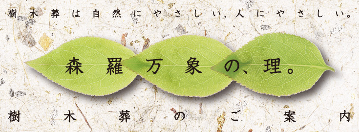 樹木葬は自然にやさしい、人にやさしい。森羅万象の、理。樹木葬のご案内